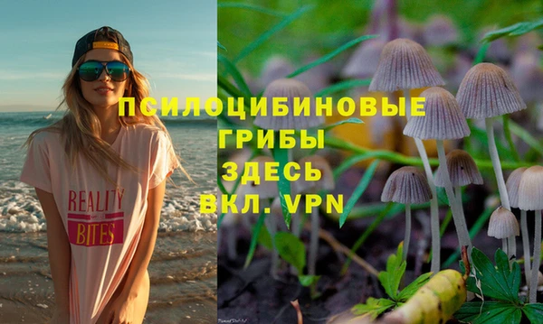 мяу мяу мука Остров