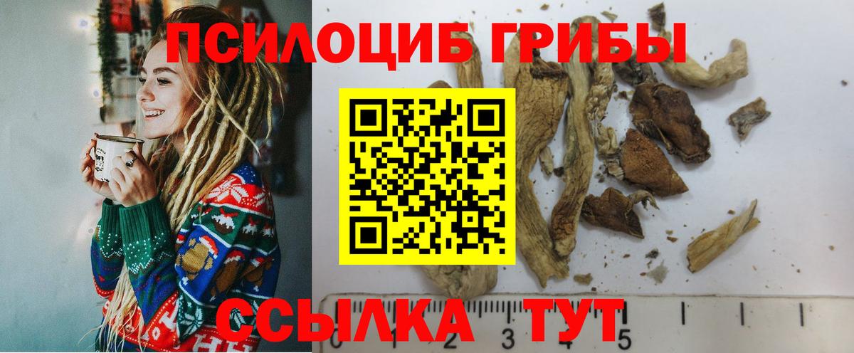 Галлюциногенные грибы мухоморы  Вход с VPN  Костомукша 