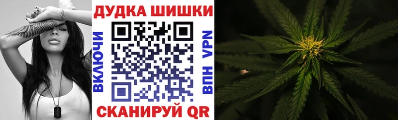 кракен зеркало  Костомукша  Бошки марихуана Amnesia 
